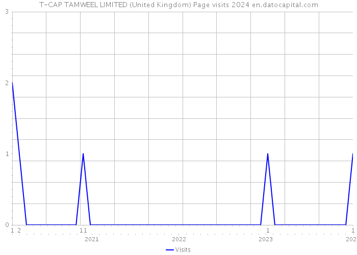 T-CAP TAMWEEL LIMITED (United Kingdom) Page visits 2024 
