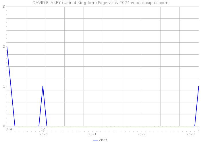 DAVID BLAKEY (United Kingdom) Page visits 2024 