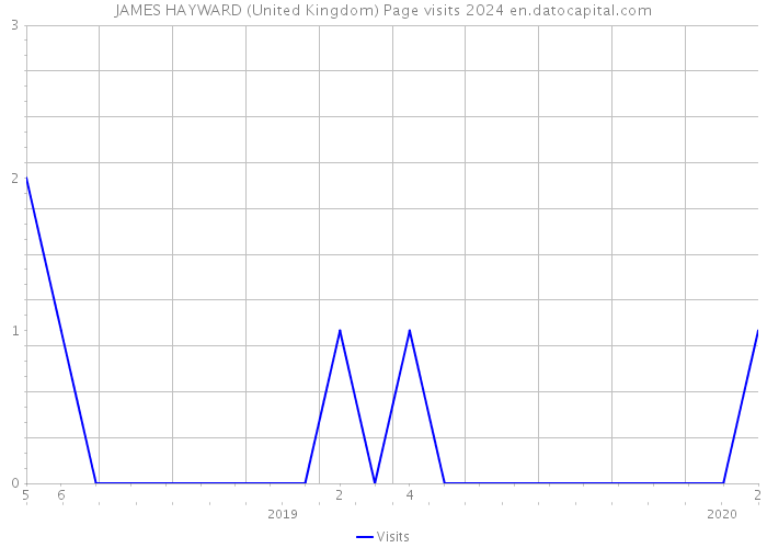 JAMES HAYWARD (United Kingdom) Page visits 2024 