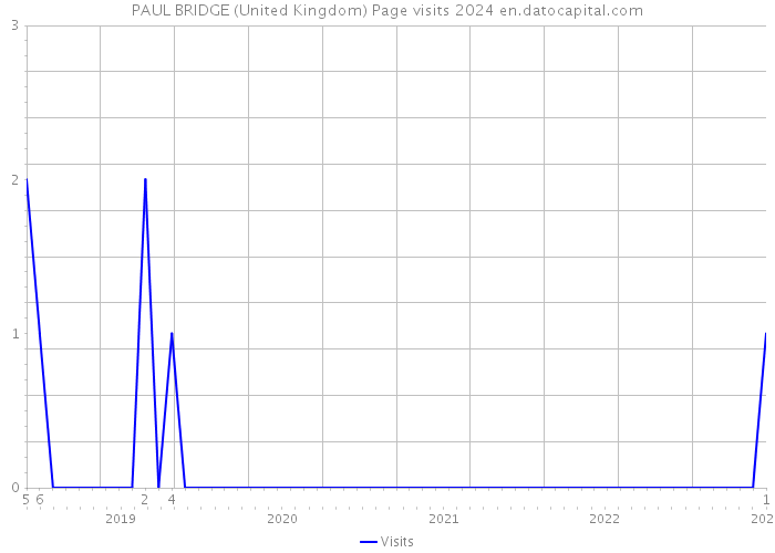 PAUL BRIDGE (United Kingdom) Page visits 2024 