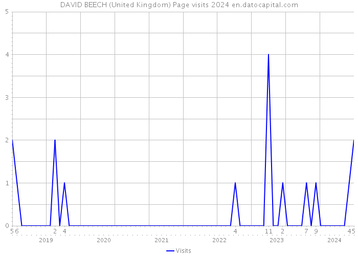 DAVID BEECH (United Kingdom) Page visits 2024 