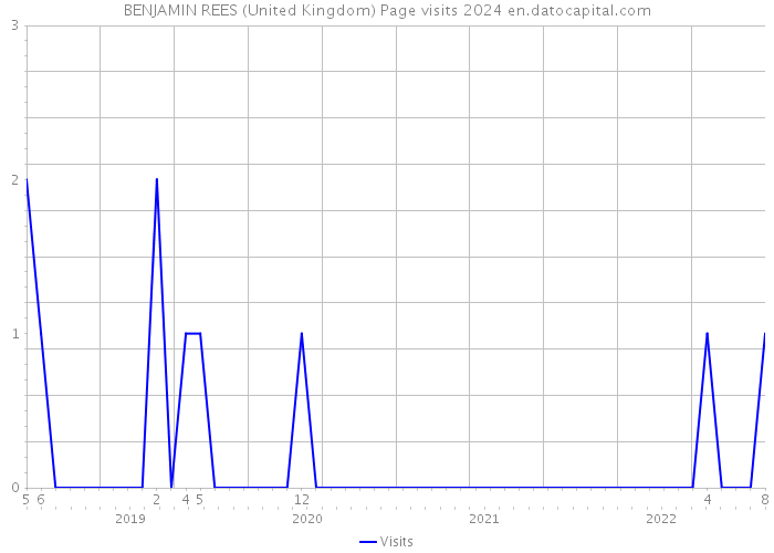 BENJAMIN REES (United Kingdom) Page visits 2024 