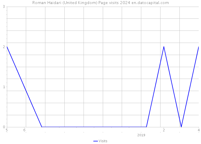 Roman Haidari (United Kingdom) Page visits 2024 