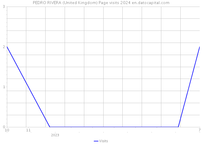 PEDRO RIVERA (United Kingdom) Page visits 2024 