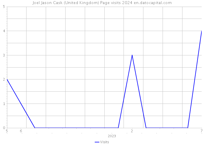 Joel Jason Cask (United Kingdom) Page visits 2024 