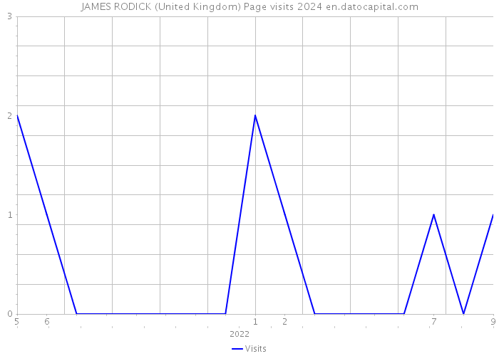 JAMES RODICK (United Kingdom) Page visits 2024 