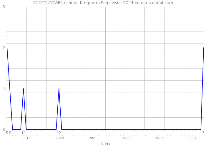 SCOTT GOWER (United Kingdom) Page visits 2024 