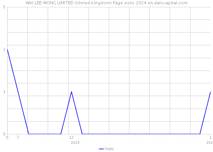 WAI LEE WONG LIMITED (United Kingdom) Page visits 2024 
