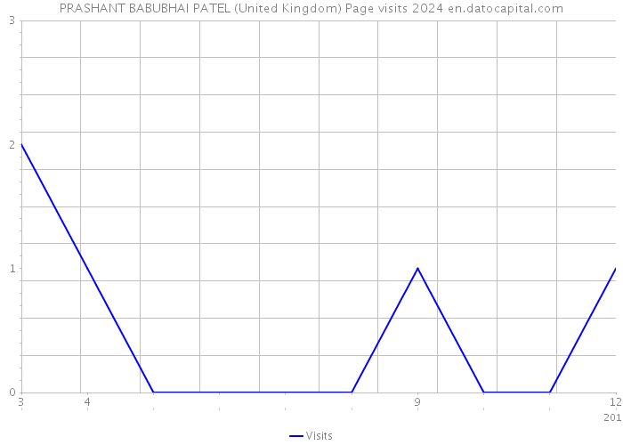 PRASHANT BABUBHAI PATEL (United Kingdom) Page visits 2024 