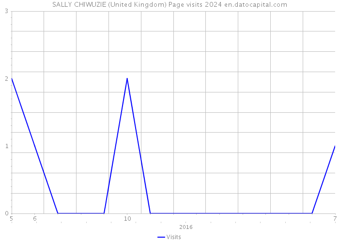 SALLY CHIWUZIE (United Kingdom) Page visits 2024 