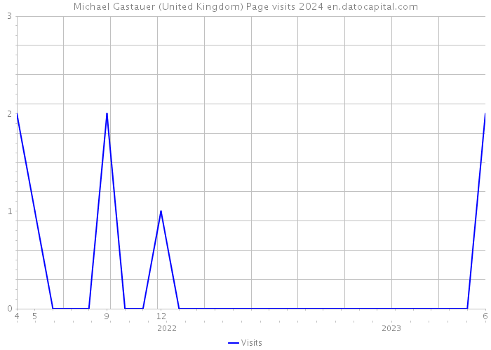 Michael Gastauer (United Kingdom) Page visits 2024 