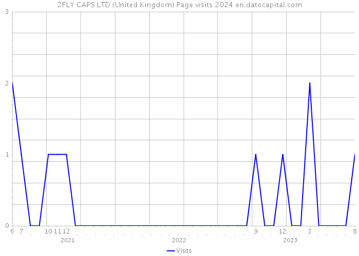 2FLY CAPS LTD (United Kingdom) Page visits 2024 