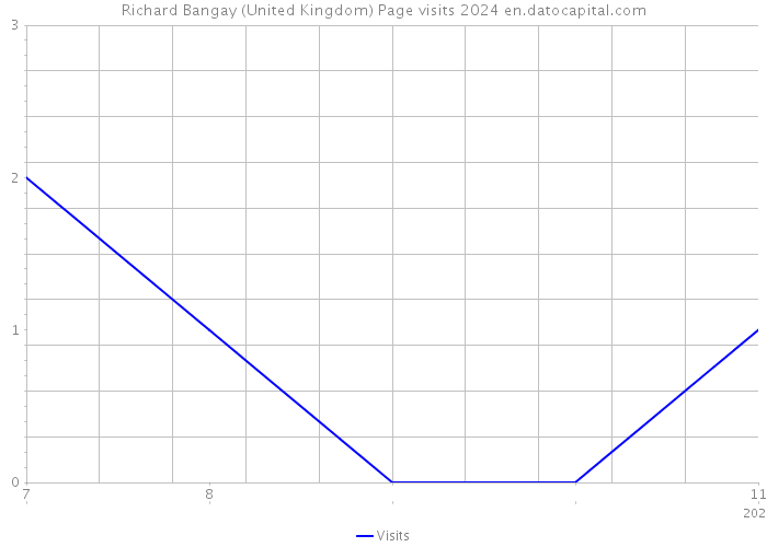Richard Bangay (United Kingdom) Page visits 2024 