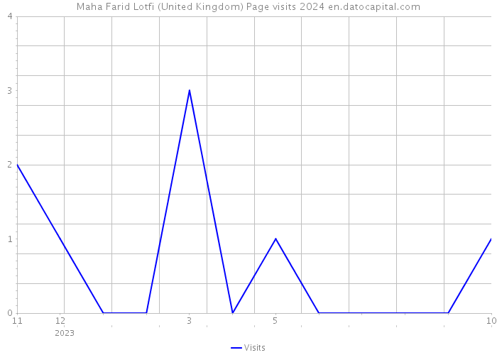 Maha Farid Lotfi (United Kingdom) Page visits 2024 
