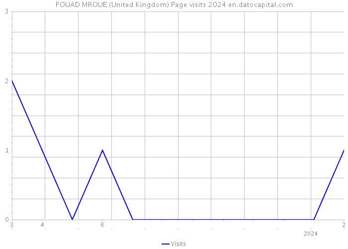 FOUAD MROUE (United Kingdom) Page visits 2024 
