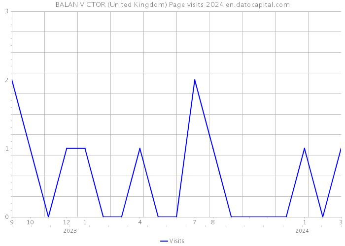 BALAN VICTOR (United Kingdom) Page visits 2024 