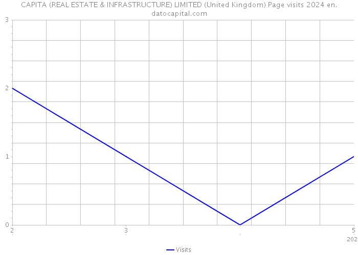 CAPITA (REAL ESTATE & INFRASTRUCTURE) LIMITED (United Kingdom) Page visits 2024 