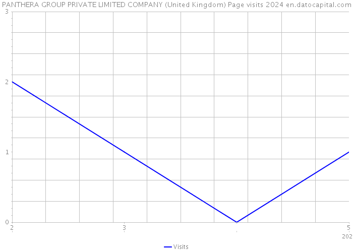 PANTHERA GROUP PRIVATE LIMITED COMPANY (United Kingdom) Page visits 2024 