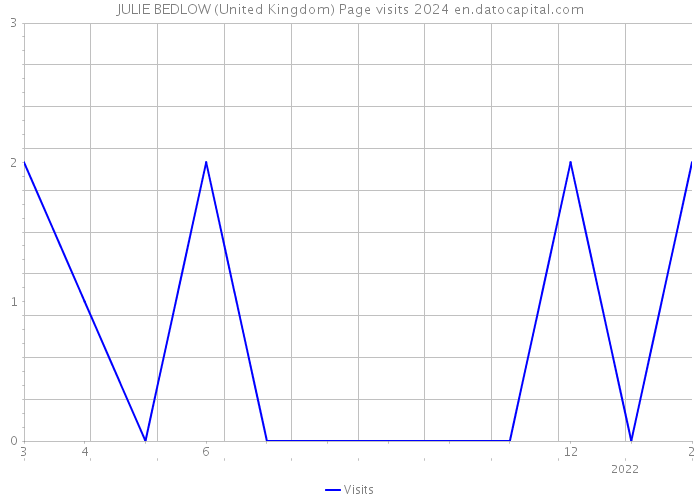 JULIE BEDLOW (United Kingdom) Page visits 2024 