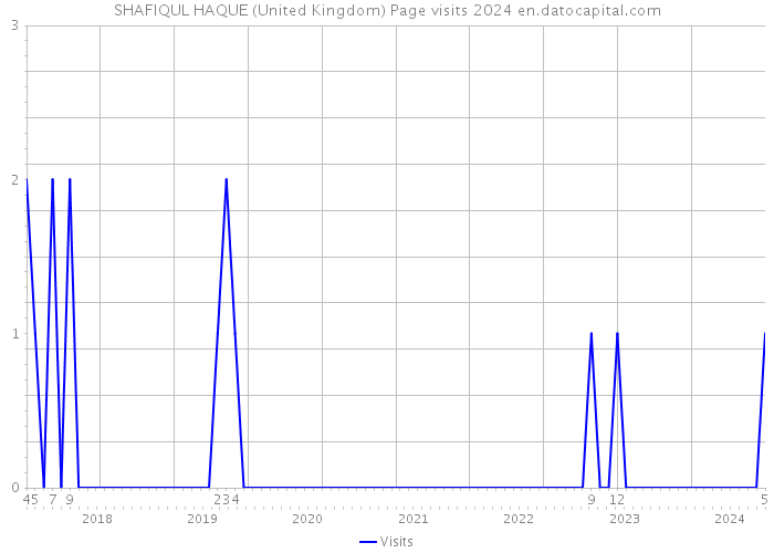 SHAFIQUL HAQUE (United Kingdom) Page visits 2024 