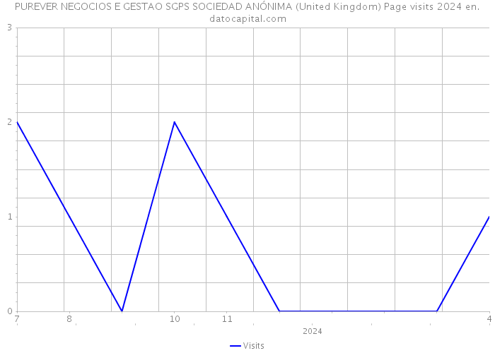 PUREVER NEGOCIOS E GESTAO SGPS SOCIEDAD ANÓNIMA (United Kingdom) Page visits 2024 