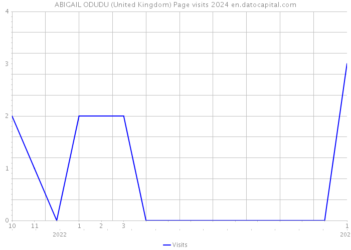 ABIGAIL ODUDU (United Kingdom) Page visits 2024 