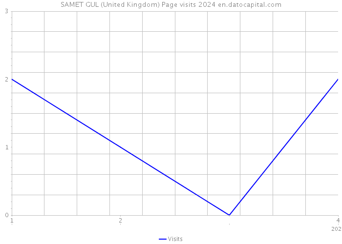 SAMET GUL (United Kingdom) Page visits 2024 