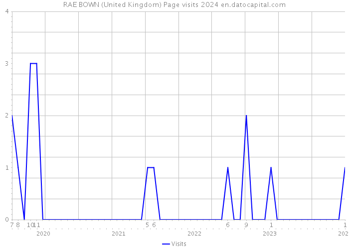 RAE BOWN (United Kingdom) Page visits 2024 