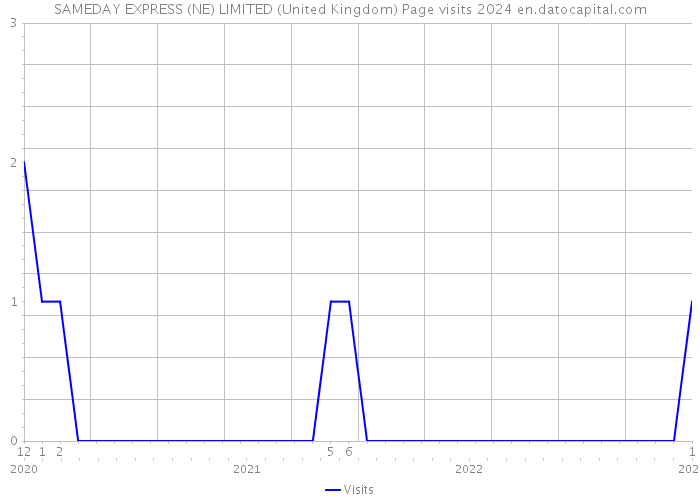 SAMEDAY EXPRESS (NE) LIMITED (United Kingdom) Page visits 2024 