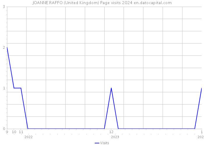 JOANNE RAFFO (United Kingdom) Page visits 2024 