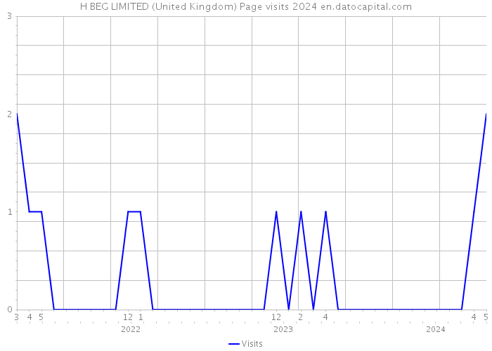 H BEG LIMITED (United Kingdom) Page visits 2024 