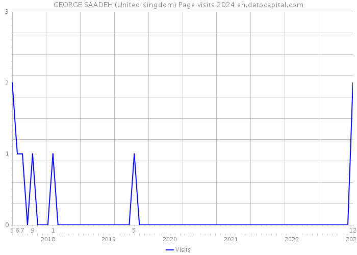 GEORGE SAADEH (United Kingdom) Page visits 2024 