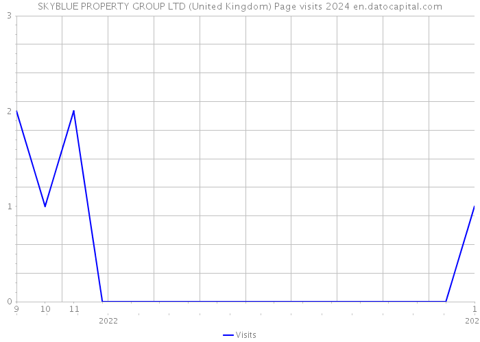 SKYBLUE PROPERTY GROUP LTD (United Kingdom) Page visits 2024 