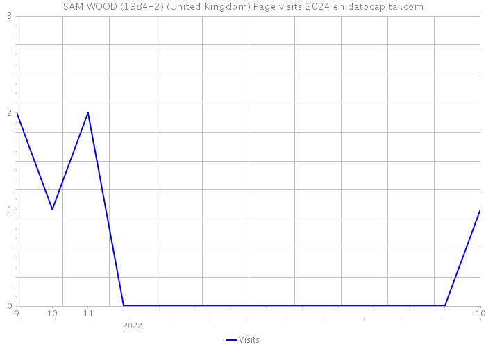SAM WOOD (1984-2) (United Kingdom) Page visits 2024 