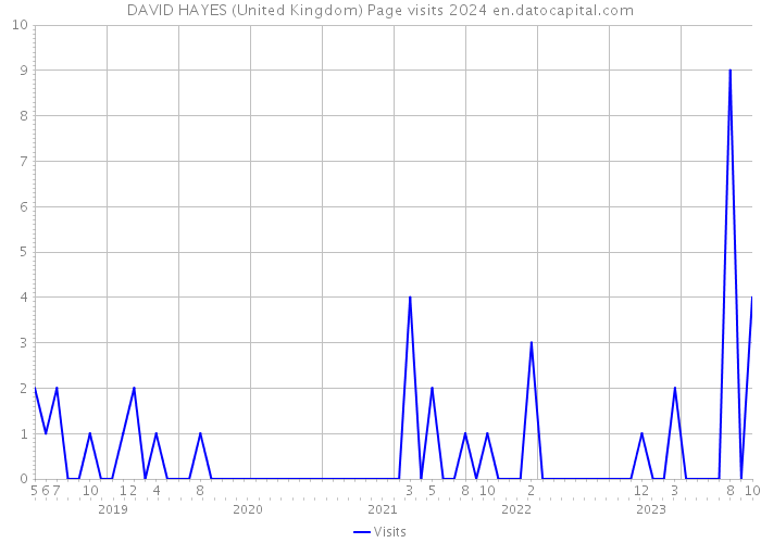 DAVID HAYES (United Kingdom) Page visits 2024 