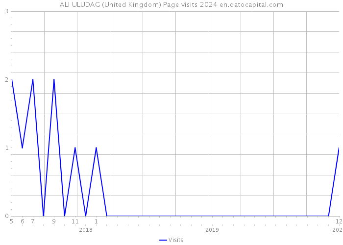 ALI ULUDAG (United Kingdom) Page visits 2024 