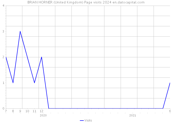 BRIAN HORNER (United Kingdom) Page visits 2024 