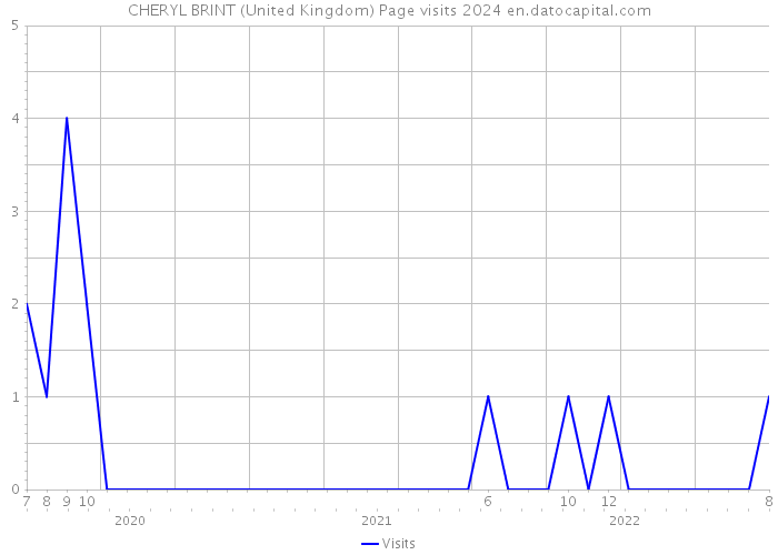 CHERYL BRINT (United Kingdom) Page visits 2024 