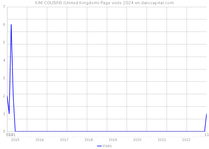 KIM COUSINS (United Kingdom) Page visits 2024 
