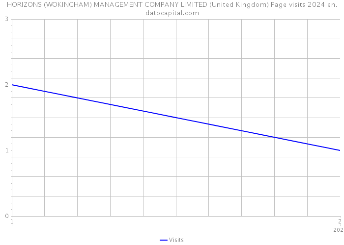 HORIZONS (WOKINGHAM) MANAGEMENT COMPANY LIMITED (United Kingdom) Page visits 2024 