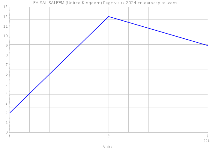 FAISAL SALEEM (United Kingdom) Page visits 2024 