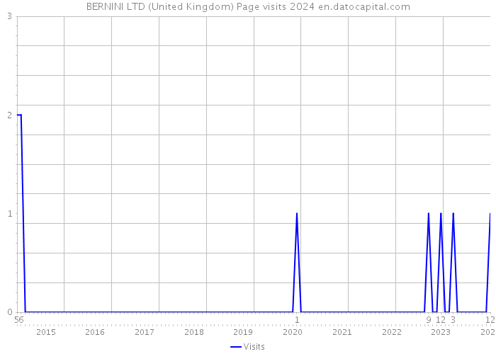 BERNINI LTD (United Kingdom) Page visits 2024 