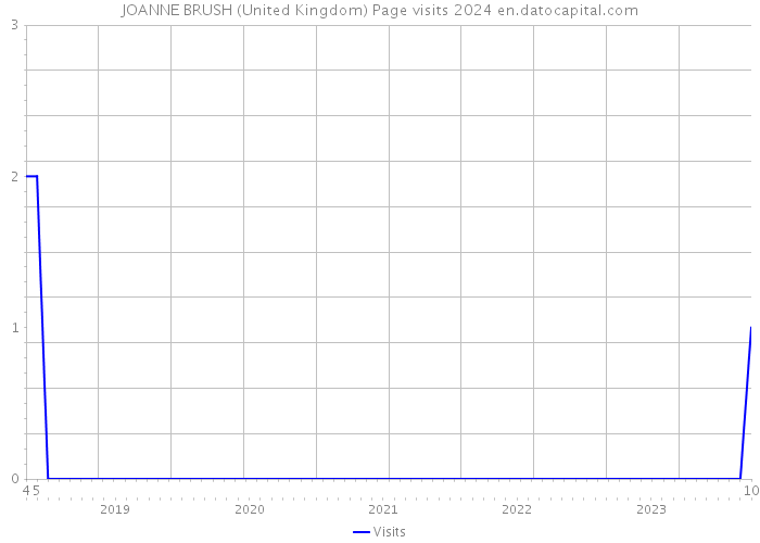 JOANNE BRUSH (United Kingdom) Page visits 2024 