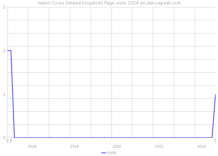 Valerii Cociu (United Kingdom) Page visits 2024 