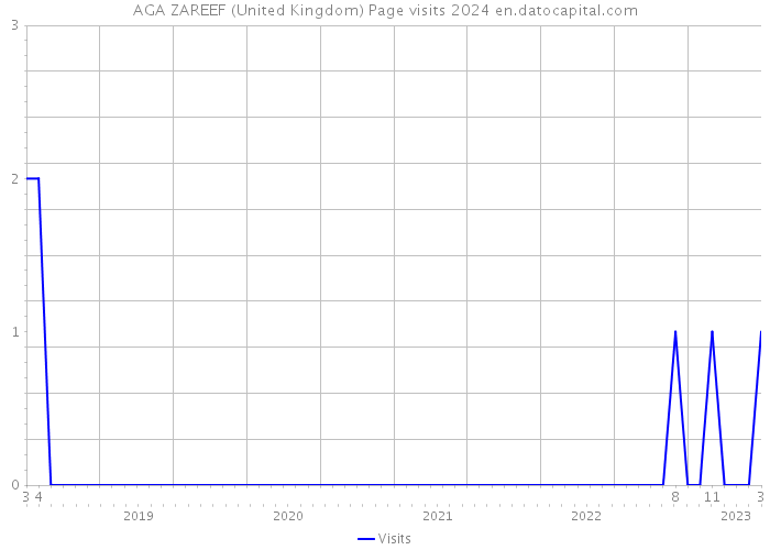 AGA ZAREEF (United Kingdom) Page visits 2024 