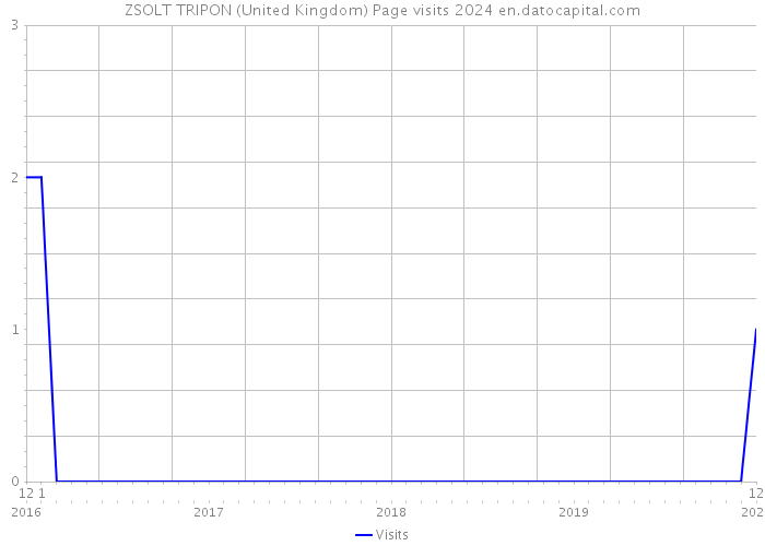 ZSOLT TRIPON (United Kingdom) Page visits 2024 
