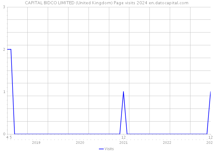 CAPITAL BIDCO LIMITED (United Kingdom) Page visits 2024 