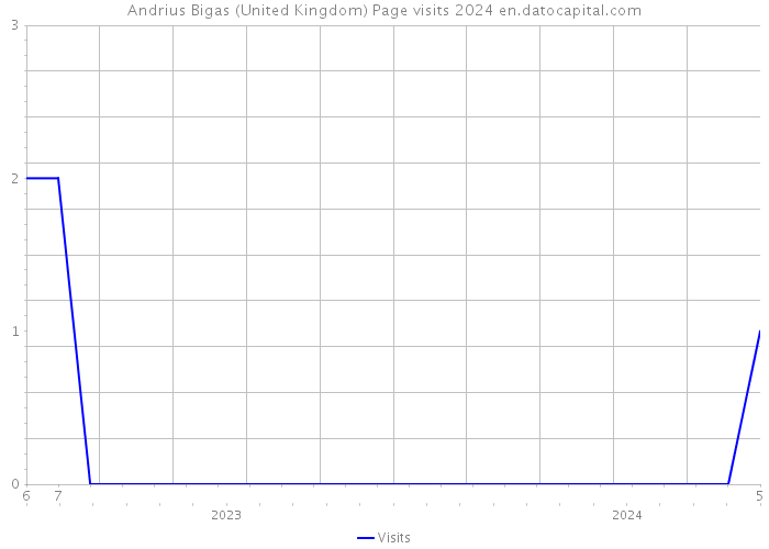 Andrius Bigas (United Kingdom) Page visits 2024 