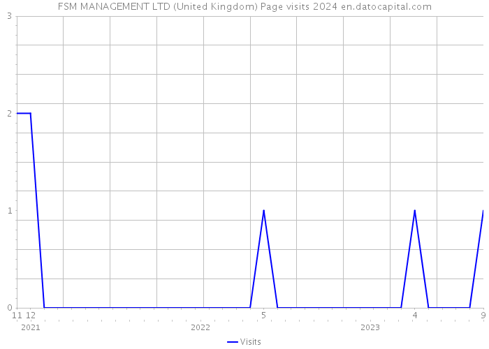 FSM MANAGEMENT LTD (United Kingdom) Page visits 2024 