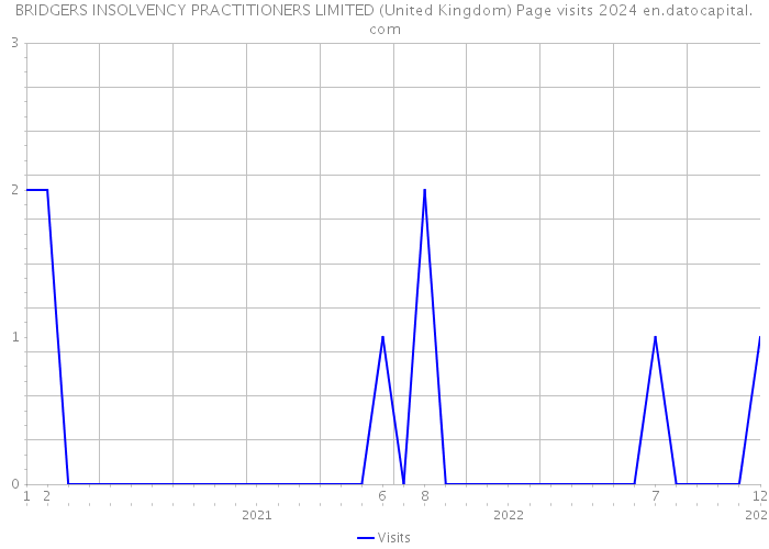 BRIDGERS INSOLVENCY PRACTITIONERS LIMITED (United Kingdom) Page visits 2024 